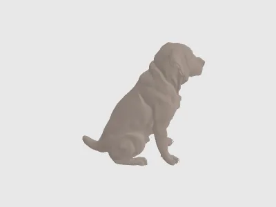 model file image