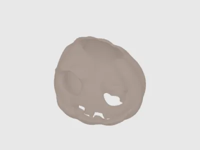model file image
