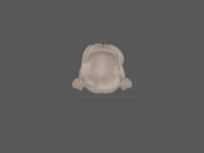 model file image
