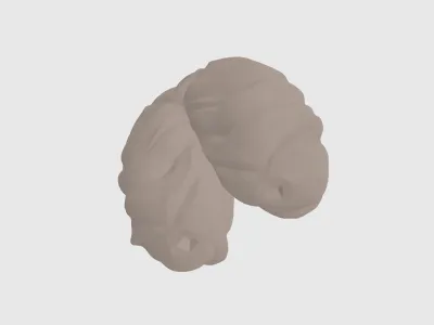 model file image