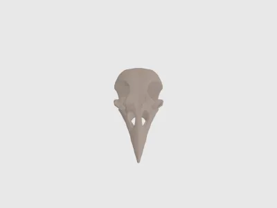 model file image
