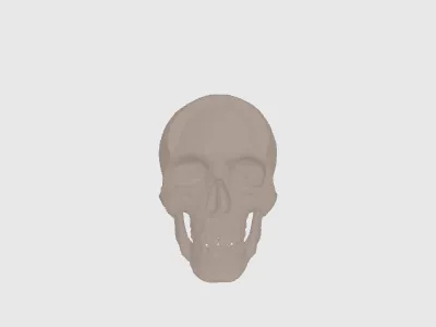 model file image
