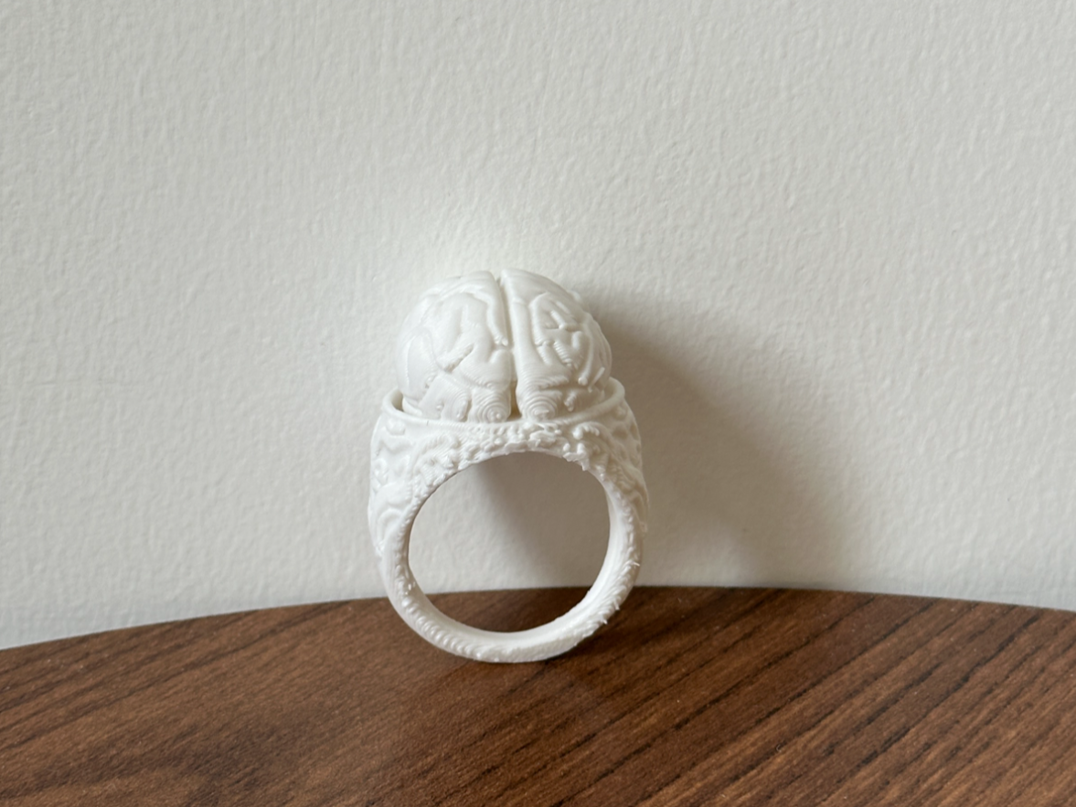 Brain Ring Brain Ring – Artistic Ring - jojo | Nexprint: Free 3D Model Downloads