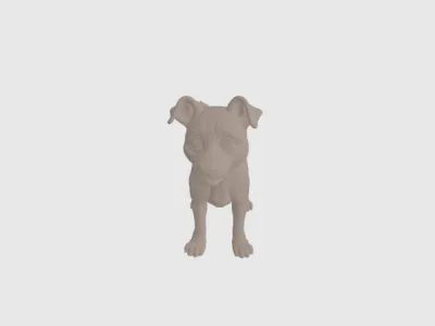 model file image