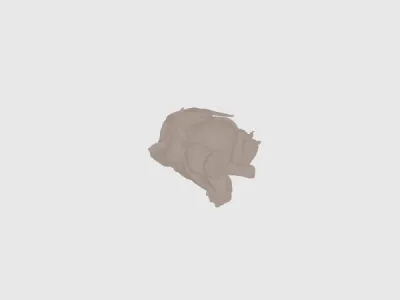 model file image