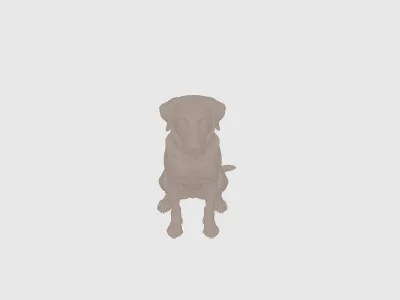 model file image