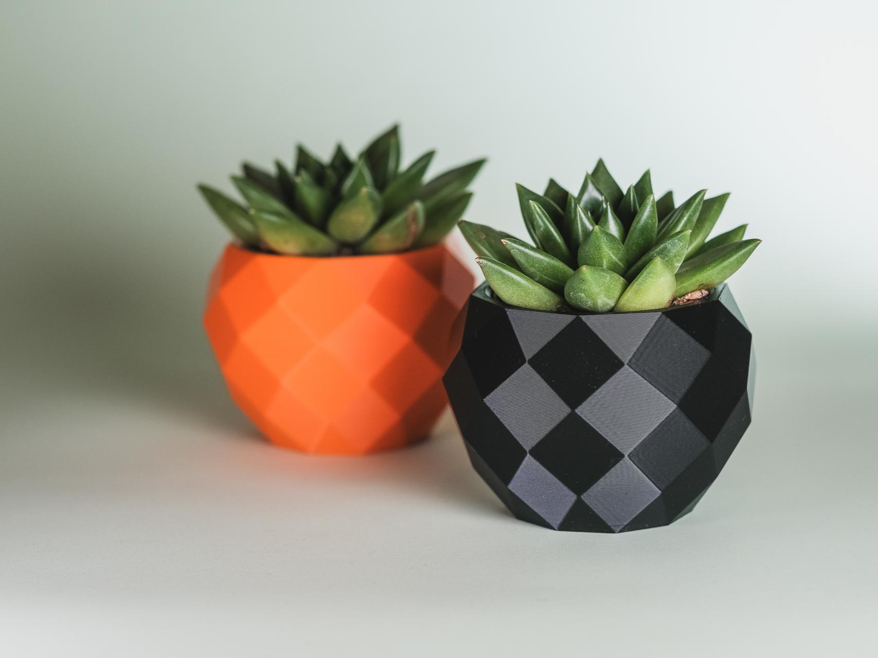 Low Poly Planter - KL Worx | Nexprint: Free 3D Model Downloads