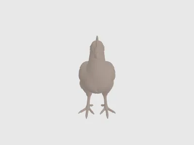 model file image