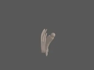 model file image