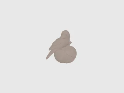 model file image