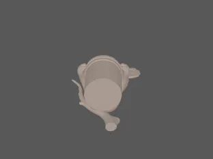 model file image