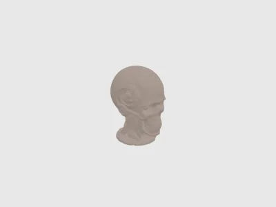 model file image