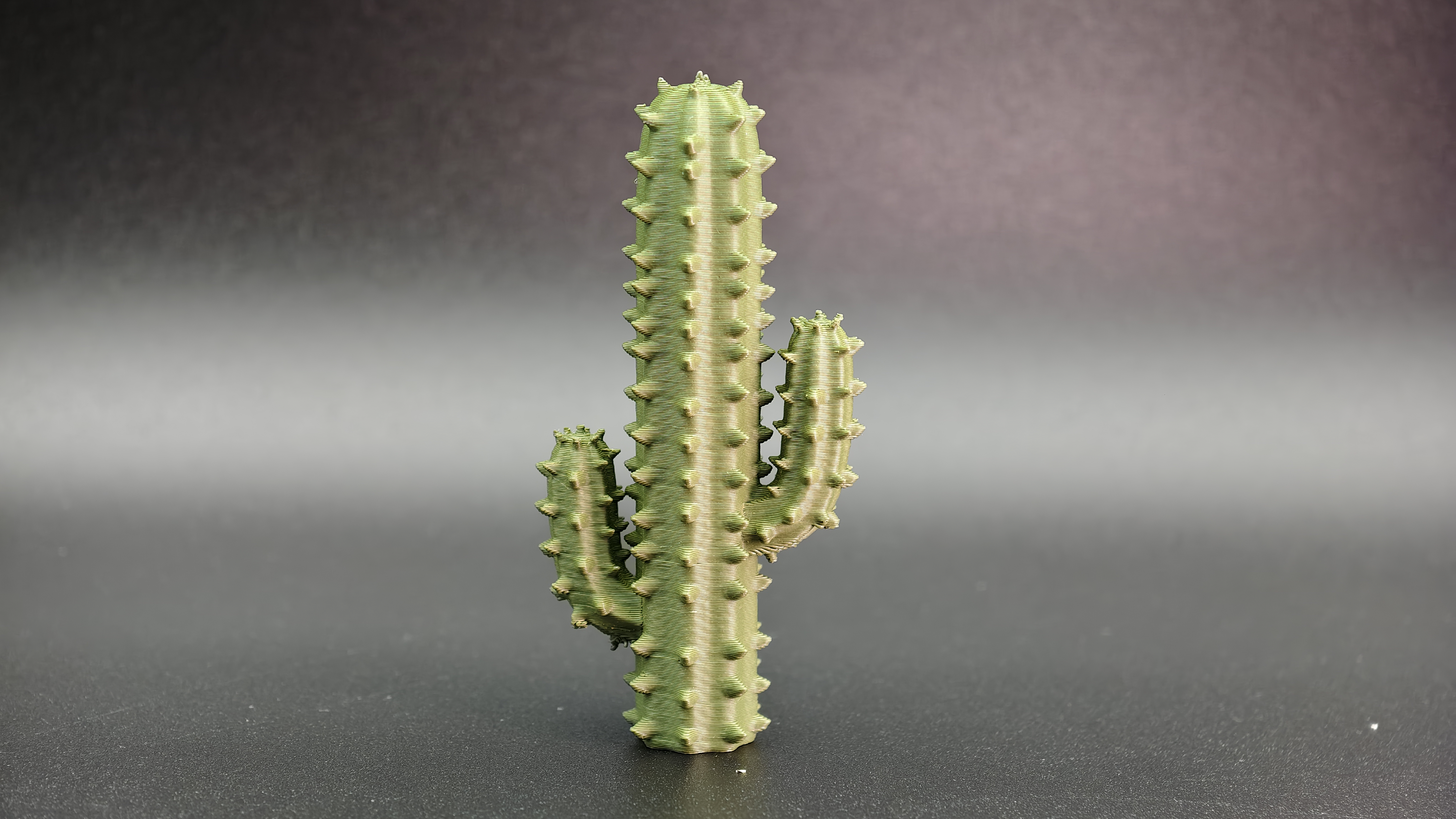 仙人掌- NextPrint 3D Model | 3Drop