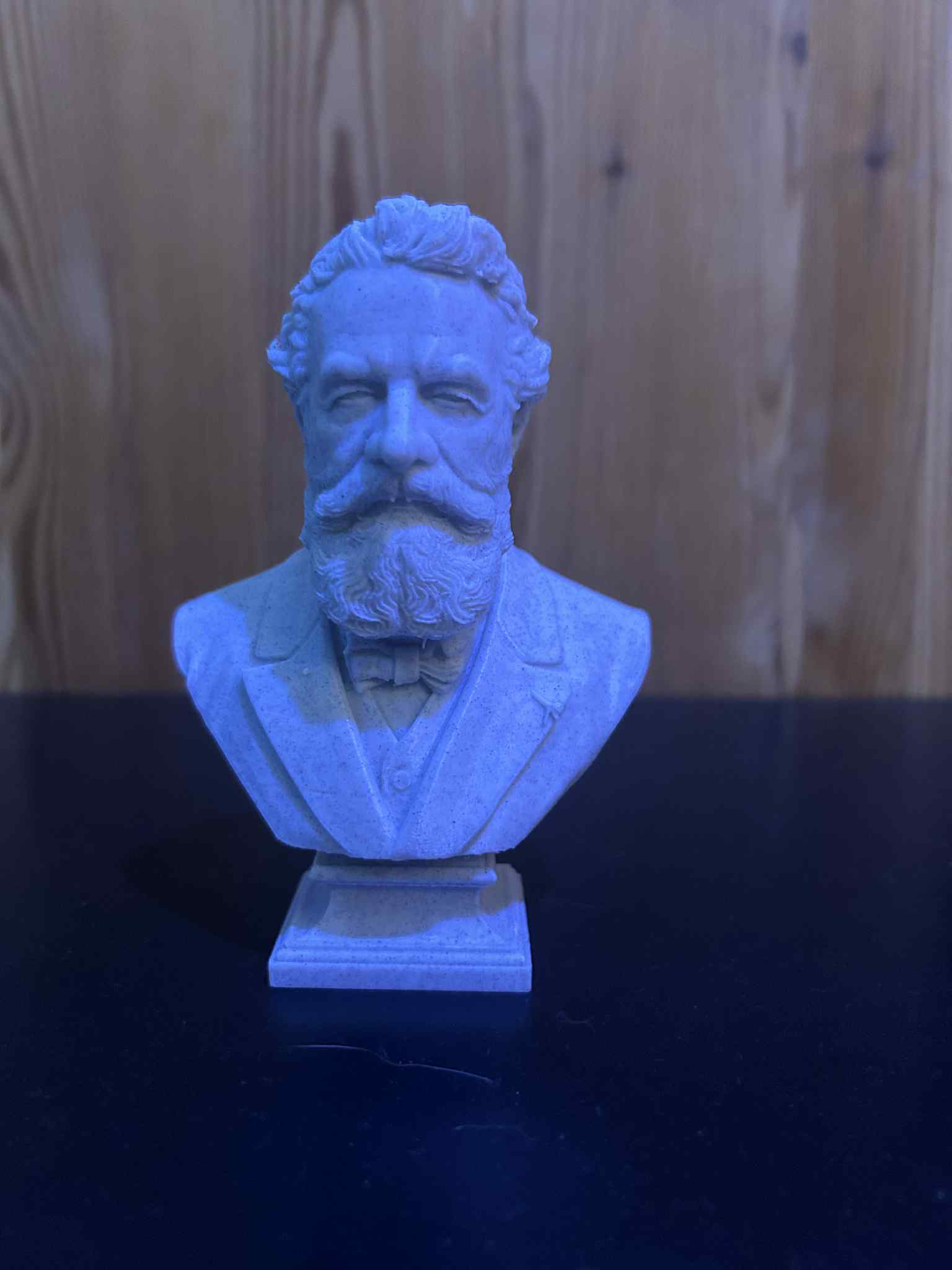 Jules Gabriel Verne — Buste - NextPrint 3D Model | 3Drop