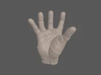 model file image
