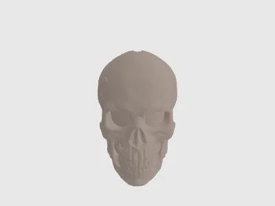model file image