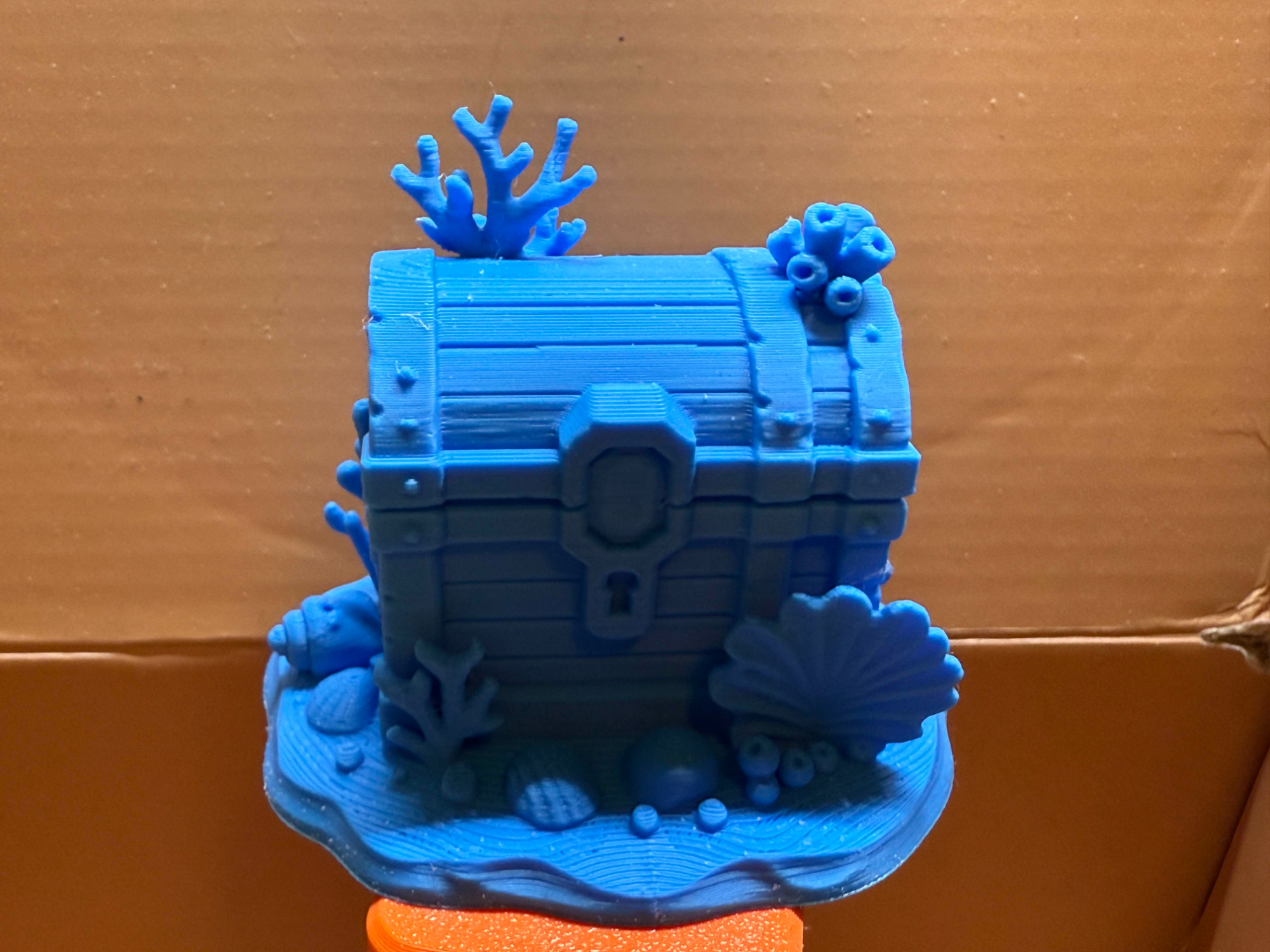 Coral Treasure Chest - UltiPrint | Nexprint: Free 3D Model Downloads