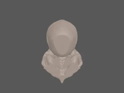 model file image