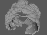 model file image