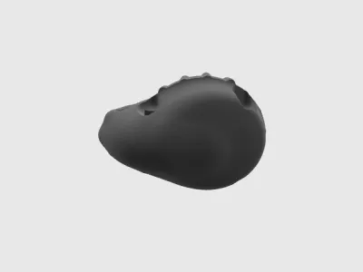 model file image
